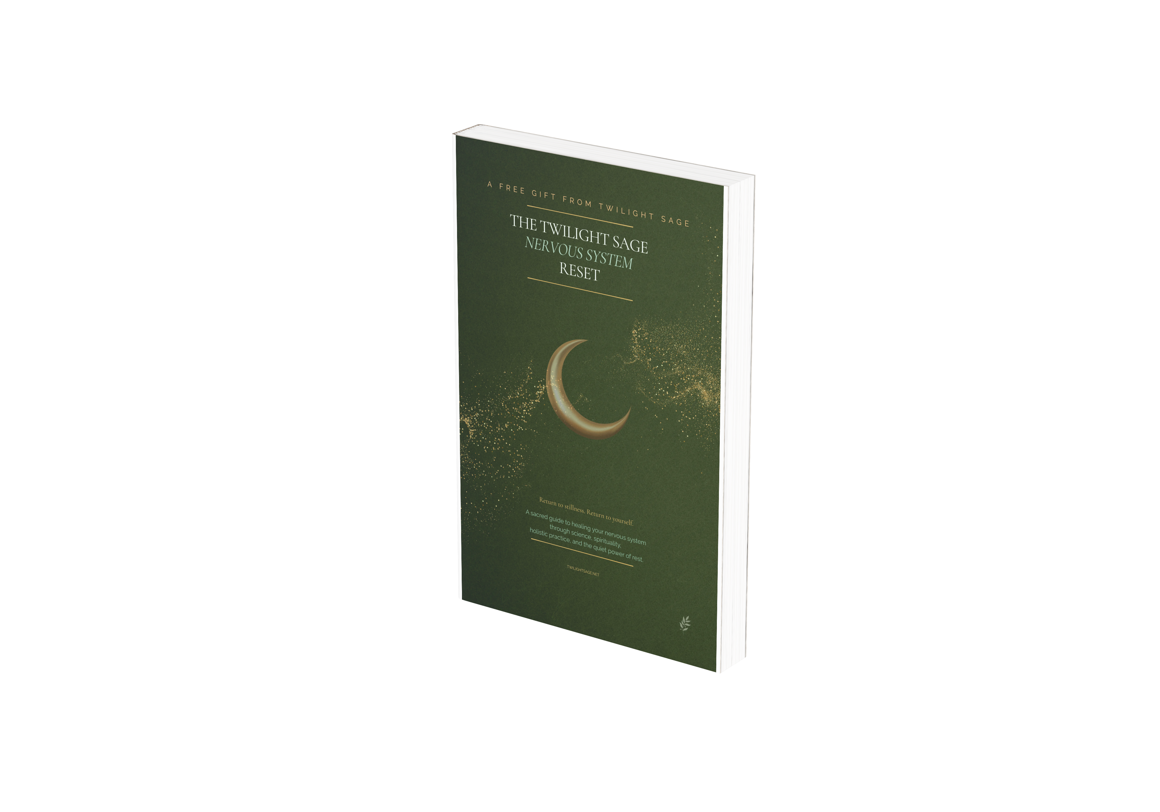 Nervous System Reset Guide